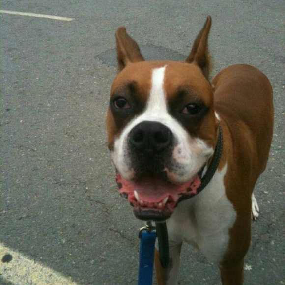 Meet your Posher, Dawn - Picture 4 of 4