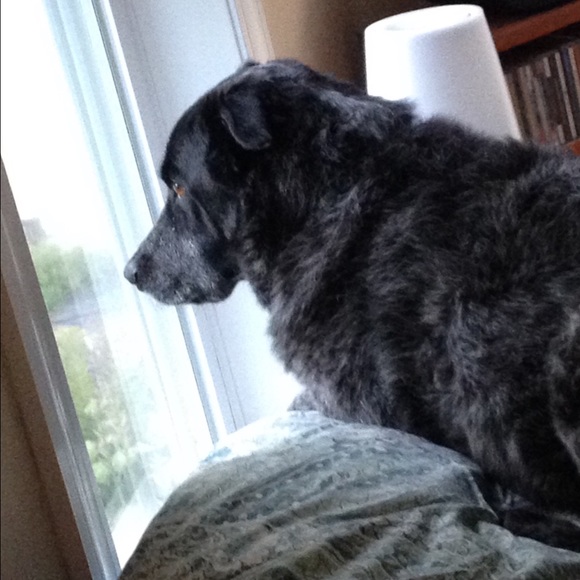 Meet your Posher, M - Picture 2 of 4