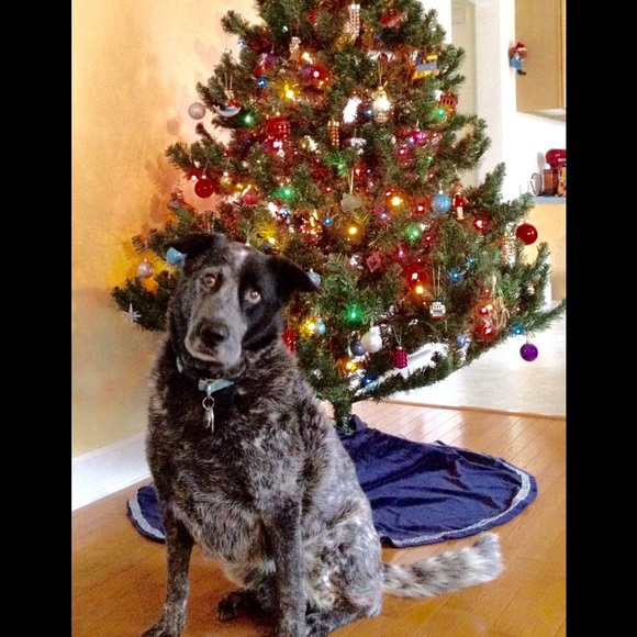 Meet your Posher, M - Picture 3 of 4