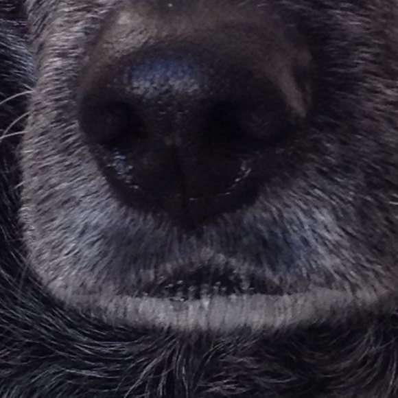 Meet your Posher, M - Picture 4 of 4