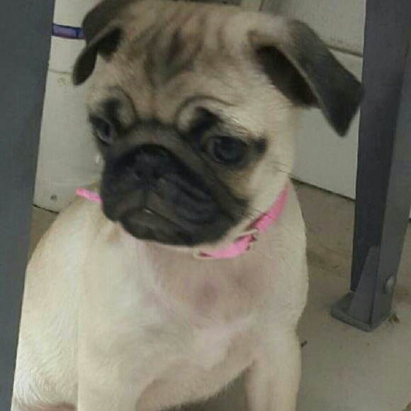 TRADE BUNDLE FOR COUNTRYTEASE ONLY..