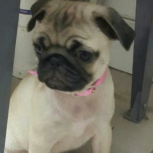 TRADE BUNDLE FOR COUNTRYTEASE ONLY..