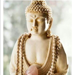 Meet your Posher, Mina