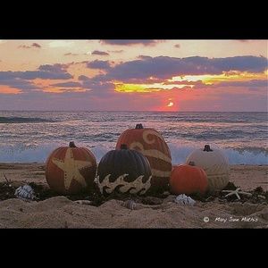 Meet your Posher, Tracie