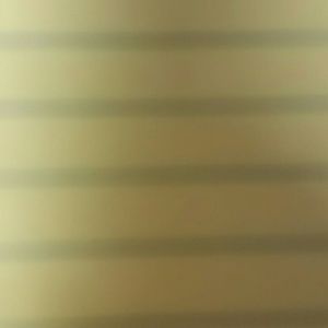 Meet your Posher, Rosa