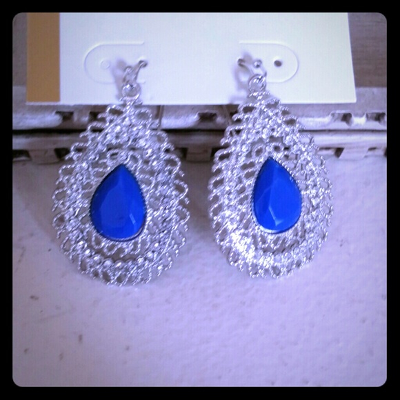 Blue and silver earrings