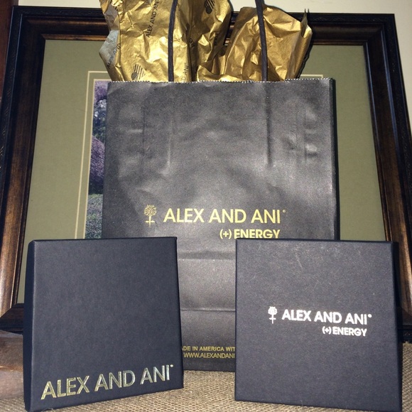 Alex and Ani bag and boxes