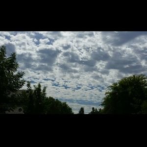 Meet your Posher, Harriet