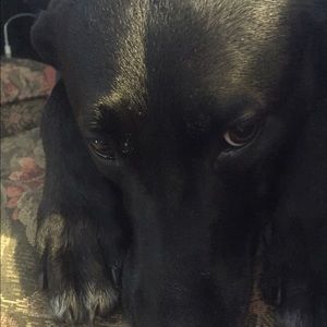 Meet your Posher, Tara