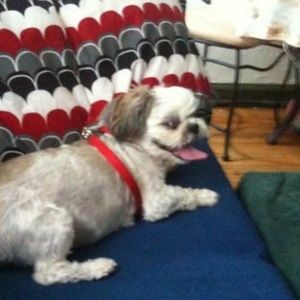 Meet your Posher, Mary