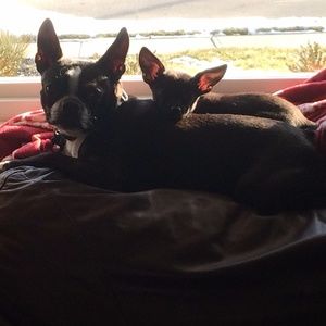 Meet your Posher, Angela