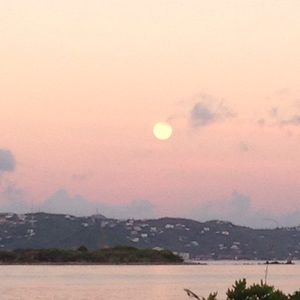 Meet your Posher, Eddie