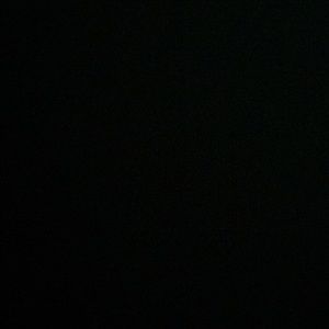 Meet your Posher, Dani