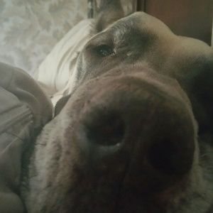 Meet your Posher, Kris