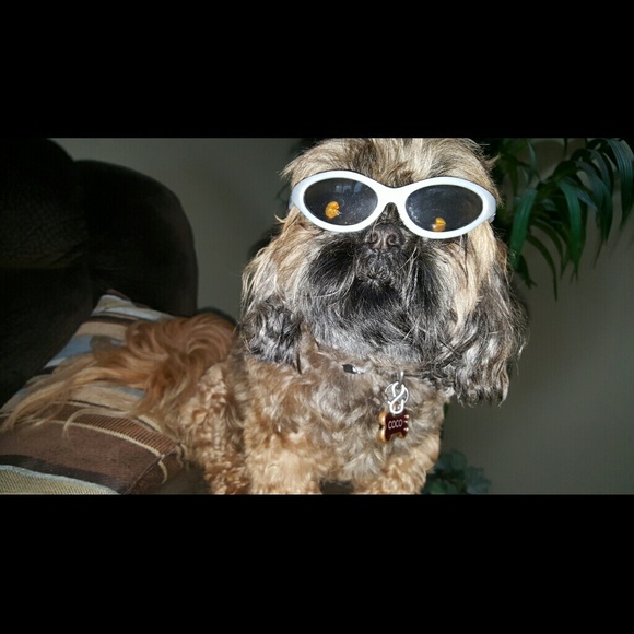 Meet your Posher, Betsy - Picture 1 of 1