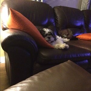 Meet your Posher, Neil