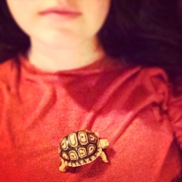 Meet your Posher! - Picture 4 of 4