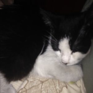 Meet your Posher, Kaylin