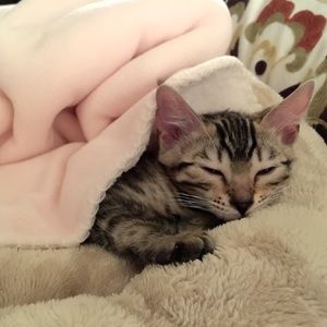 Meet your Posher, Katherin