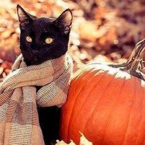 Meet your Posher, Tatyana