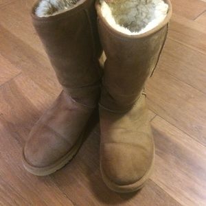 Classic Tall Chestnut Uggs