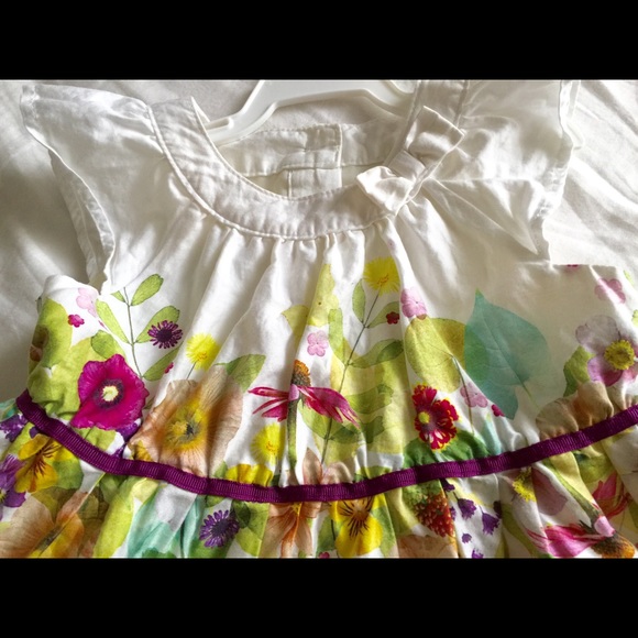Toddler 2T - Picture 4 of 4