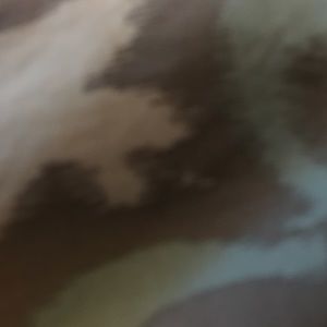 Meet your Posher, Diane