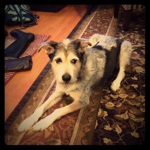 @lorievera's trade package!