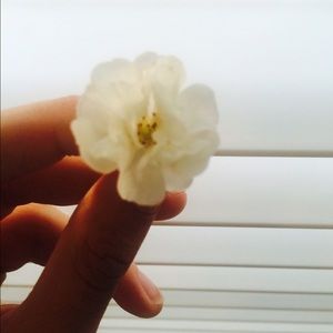 Meet your Posher, Caitlin