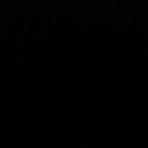 Meet your Posher, Angelica