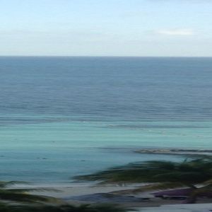 Meet your Posher, Malika