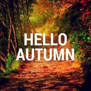 Meet your Posher, Robyn