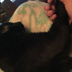 Meet your Posher, Elise