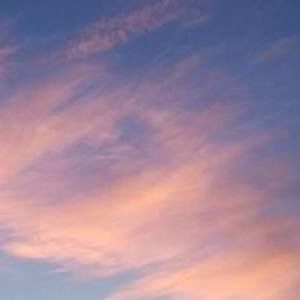 Meet your Posher, Robyn