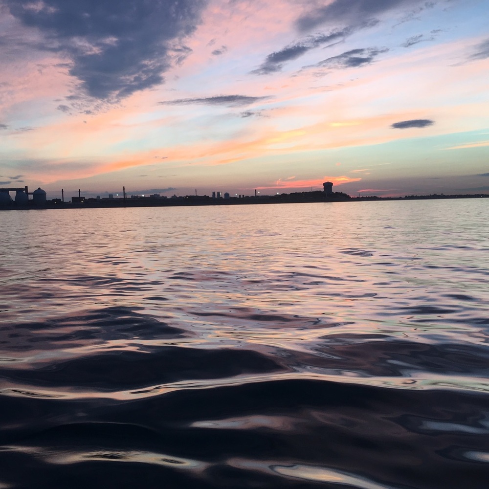 Meet your Posher, Odile