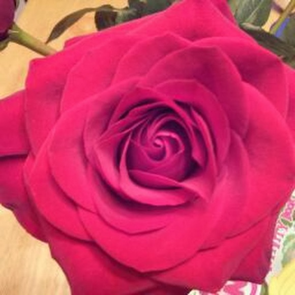 Meet your Posher, Ameeta