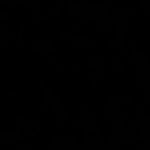 Meet your Posher, Guiselle