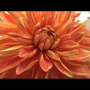 Meet your Posher, Zachary