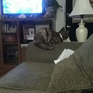 Meet your Posher, Jeana