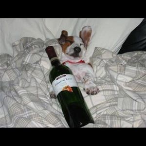 Meet your Posher, Chad