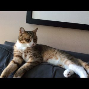 Meet your Posher, Eddie