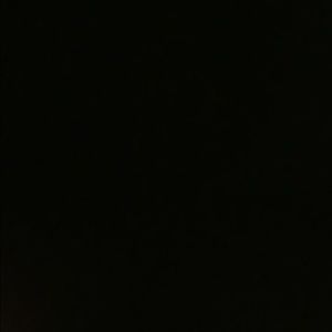 Meet your Posher, Bree