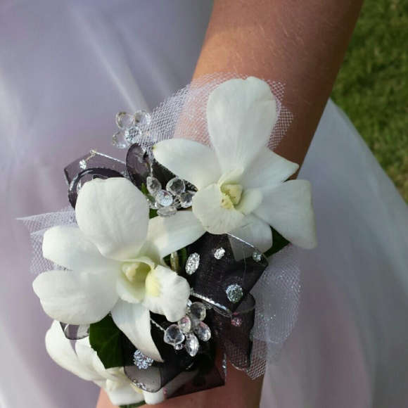 Meet your Posher, Teresa - Picture 2 of 2