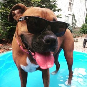 Meet your Posher, Jen