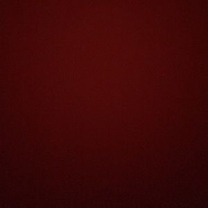 Meet your Posher, Ashaia