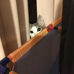 Meet your Posher, Cindy