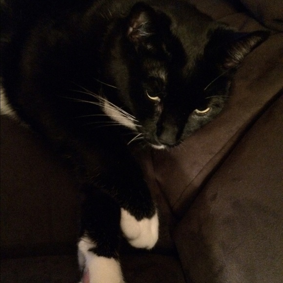 Meet your Posher, Jessica - Picture 2 of 2