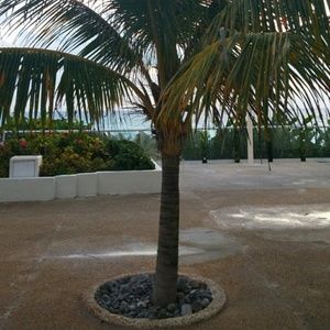 Meet your Posher, Shawna