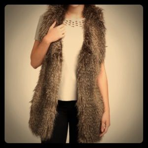 Braiden Faux Fur Plush Vest
