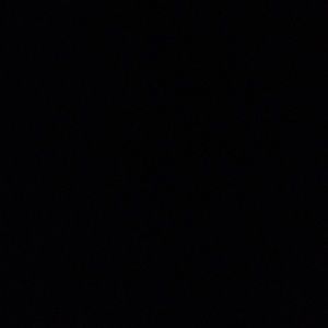 Meet your Posher, Sophie